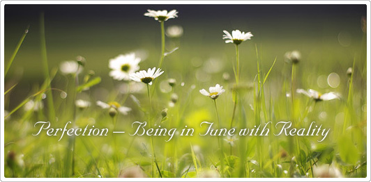 Perfection – Being in Tune with Reality